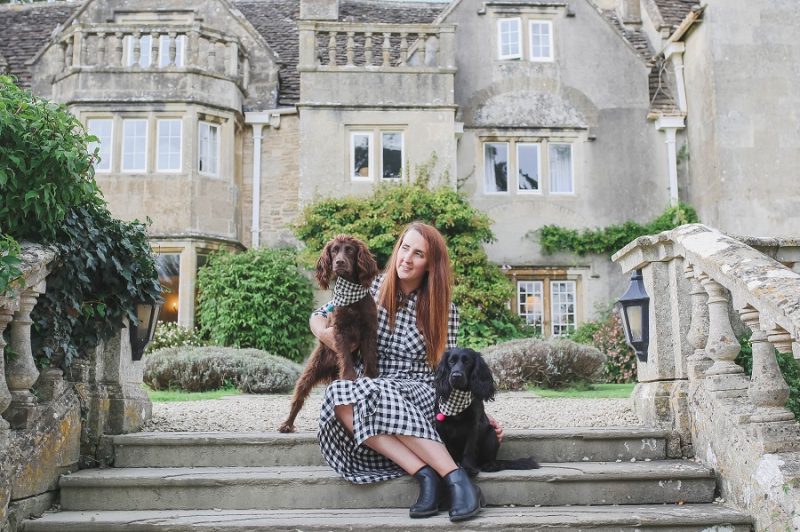 Steph and the Spaniels