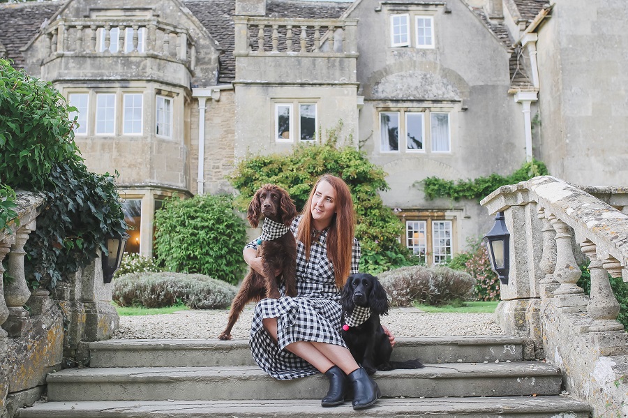 Blogger of the month: Steph and the Spaniels