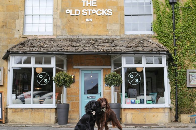 Steph and the Spaniels